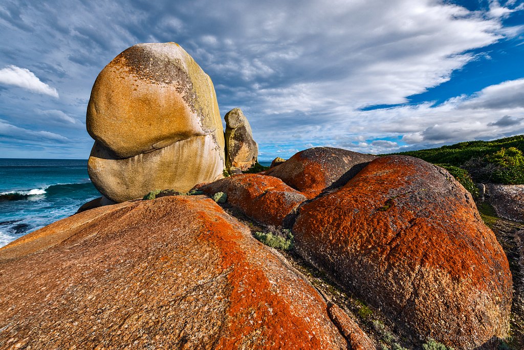 Unmistakable symbol of the Bay of Fires