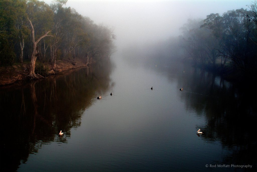 River mist over the Murrumbidgee River